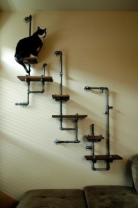 Cat playground made from pipes